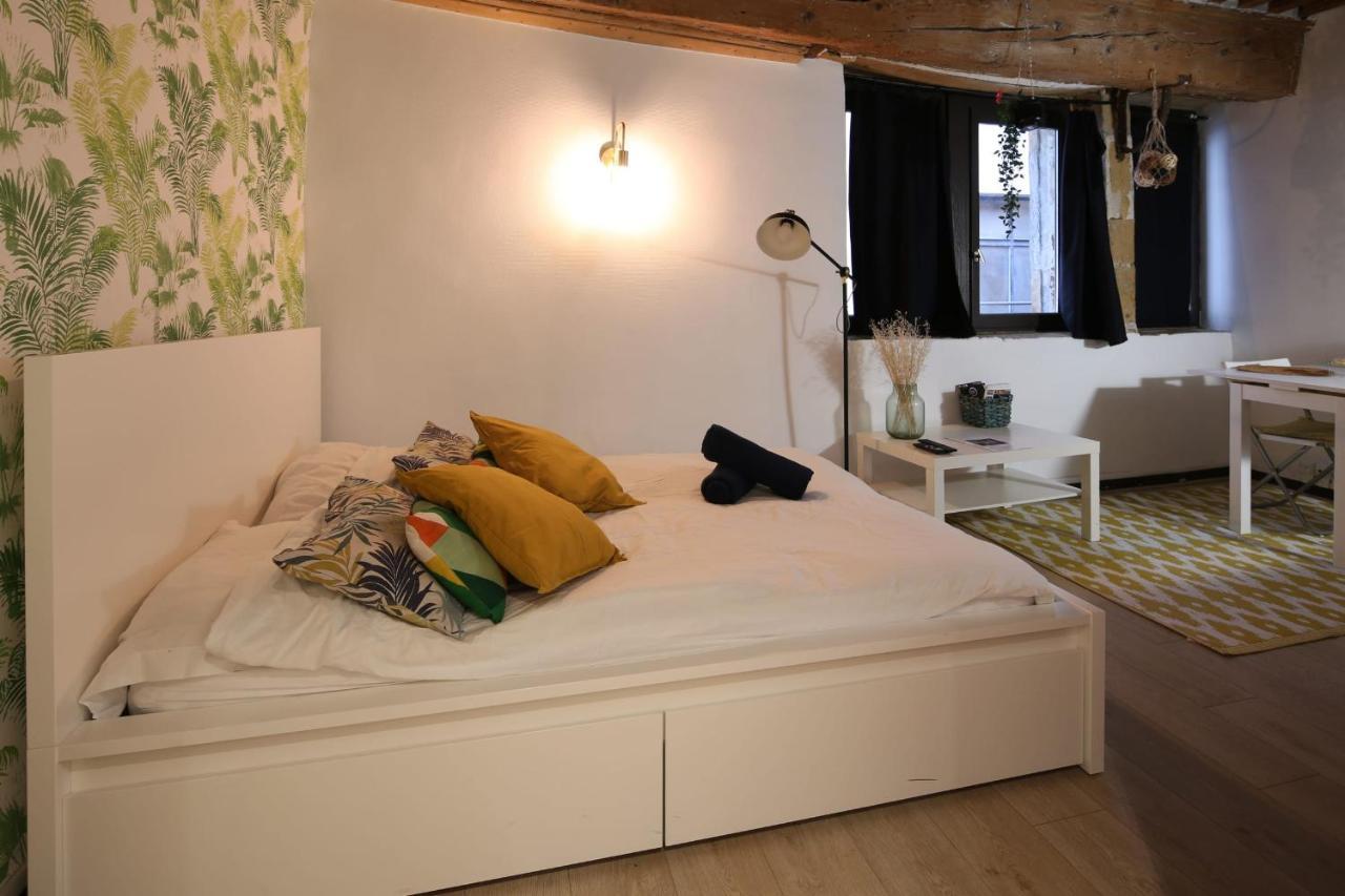 Charming Studio Centre Ville De Lyon Kültér fotó
