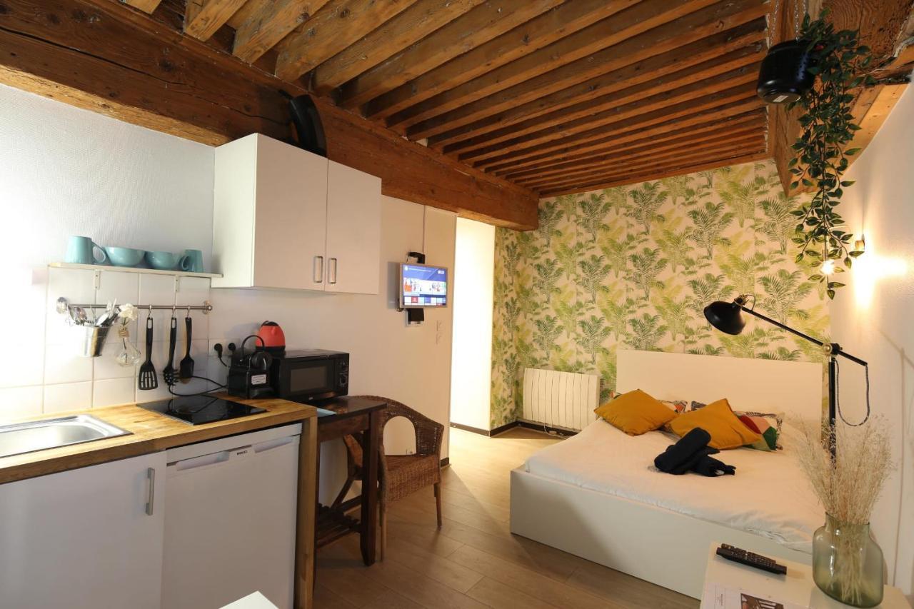 Charming Studio Centre Ville De Lyon Kültér fotó
