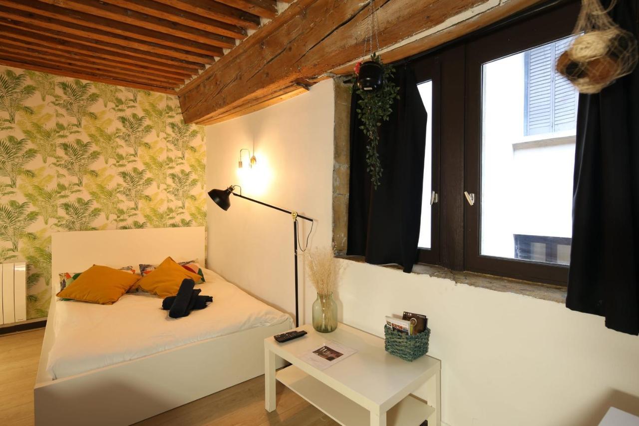 Charming Studio Centre Ville De Lyon Kültér fotó
